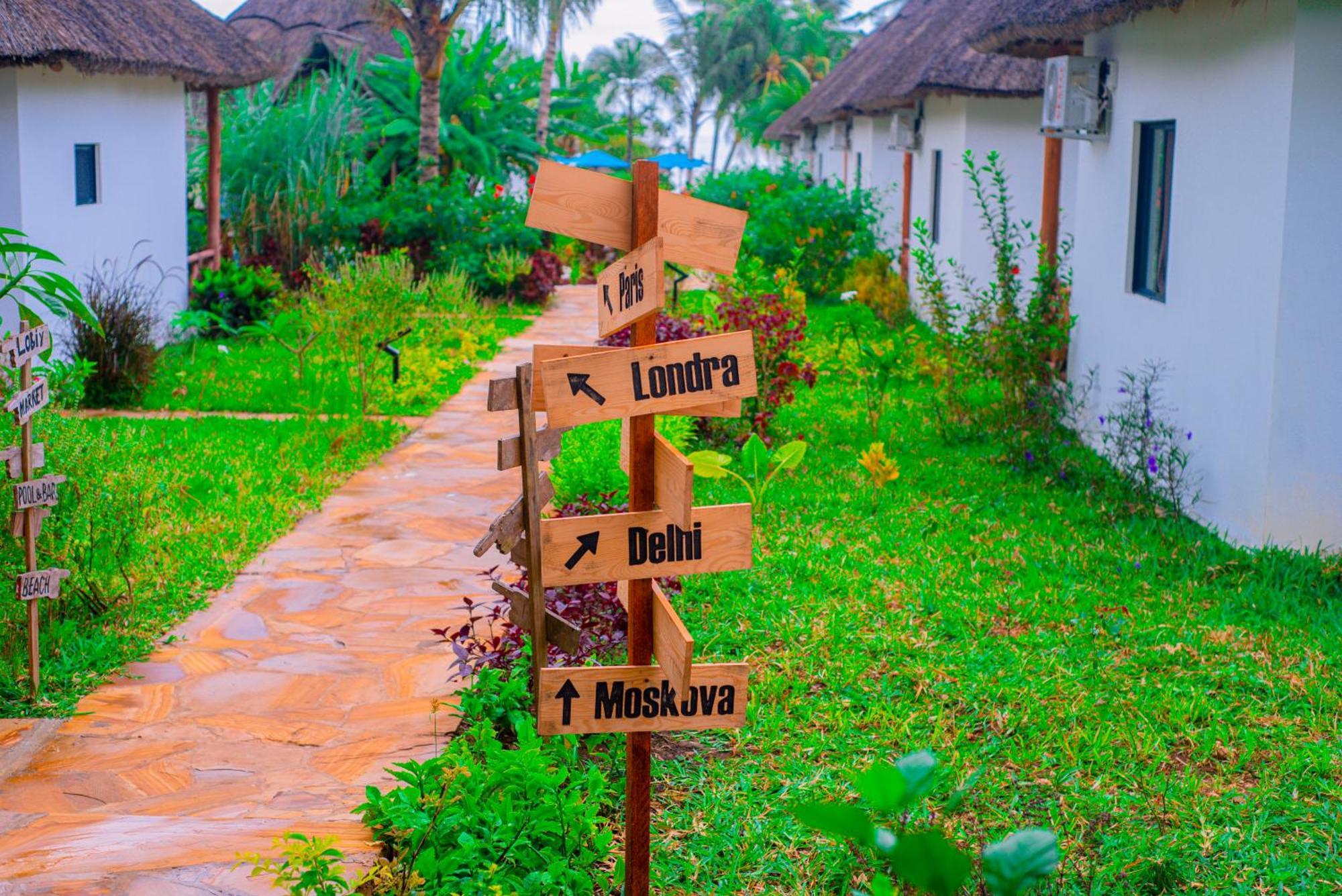Turkuaz Zanzibar